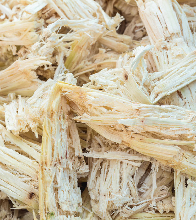 Future-materials-Bagasse
